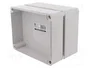 ELEKTRO-PLAST NASIELSK Carcasa Industrial Universal Gris