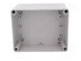 ELEKTRO-PLAST NASIELSK Carcasa Industrial Universal Gris