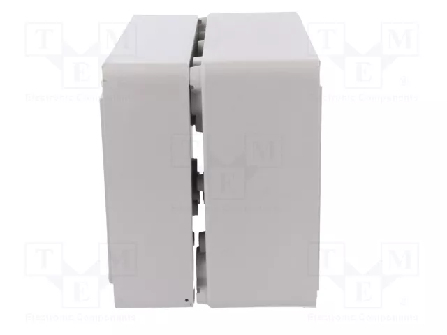ELEKTRO-PLAST NASIELSK Carcasa Industrial Universal Gris