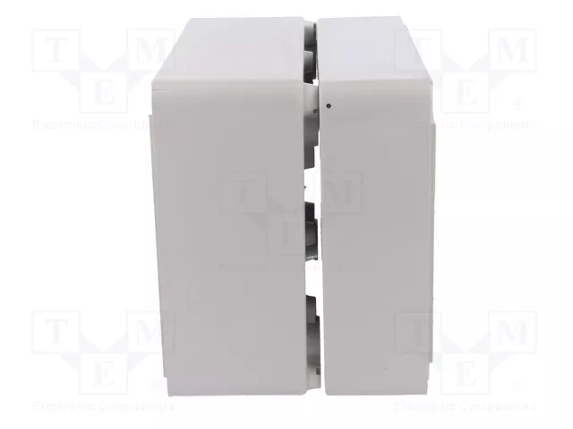 ELEKTRO-PLAST NASIELSK Carcasa Industrial Universal Gris