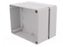 ELEKTRO-PLAST NASIELSK Carcasa Industrial Universal Gris
