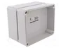 ELEKTRO-PLAST NASIELSK Carcasa Industrial Universal Gris