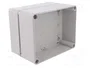 ELEKTRO-PLAST NASIELSK Carcasa Industrial Universal Gris