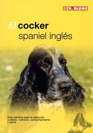 H.BLUME Cocker Spaniel Inglés