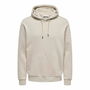 Sudadera con Capucha Hombre Only & Sons ceres ie Silver Lining