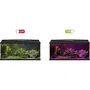 Ciano CLN5 Rampa LED Blanco y RGB 1,5W para Nexus Betta Life 5C y Diamond 14C