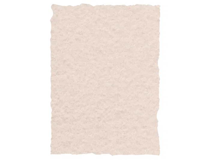 Michel Papel Pergamino Temático Din A4 150 gr Paquete 25 Hojas Color Humo Michel Papel Pergamino Temático Din A4 150 gr Paquete 25 Hojas Color Humo