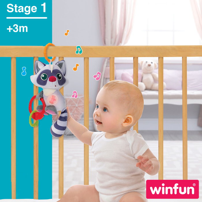 Winfun Peluche sonajero mapache