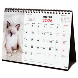 Finocam Calendario De Sobremesa Para Escribir S-210x150 mm Mv Imágenes Gatitos 2026