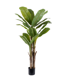 DKD Home Decor Árbol de Fibra Bananero Verde 80x75x197 cm