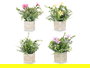 IBERGARDEN Maceta Cuadrada Flores Surtidos Color 20 cm x 32 cm x 20 cm (Set de 8)