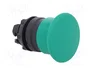SCHNEIDER ELECTRIC Interruptor de presión Harmony XB5 Verde