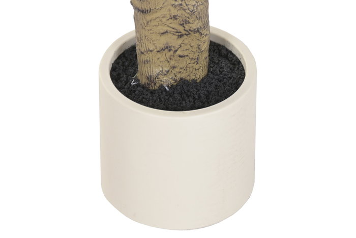 DKD Home Decor Árbol de Olivo Verde y Blanco 60x60x150 cm DKD Home Decor Árbol de Olivo Verde y Blanco 60x60x150 cm