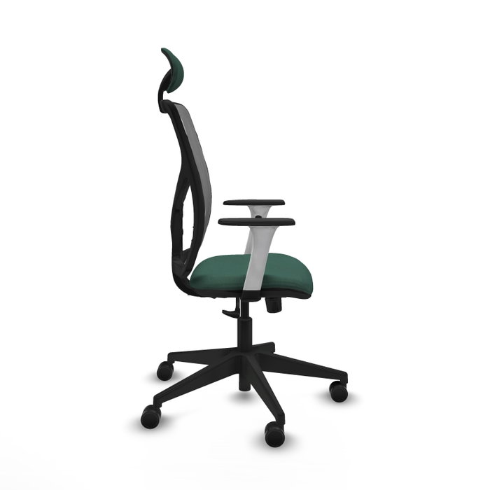 PIQUERAS Y CRESPO Silla de oficina Motilla con mecanismo Sincro, Verde botella y Gris PIQUERAS Y CRESPO Silla de oficina Motilla con mecanismo Sincro, Verde botella y Gris
