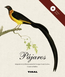 Pájaros, Tikal, Equipo - TIKAL EDICIONES