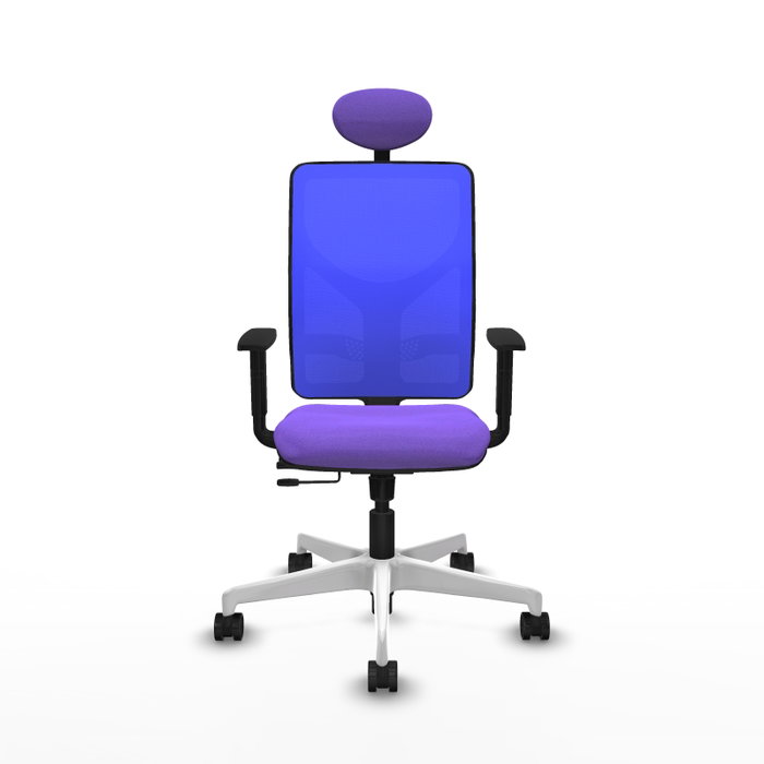 PIQUERAS Y CRESPO Silla de oficina Motilla con mecanismo Sincro/Traslack, Lila y Azul PIQUERAS Y CRESPO Silla de oficina Motilla con mecanismo Sincro/Traslack, Lila y Azul