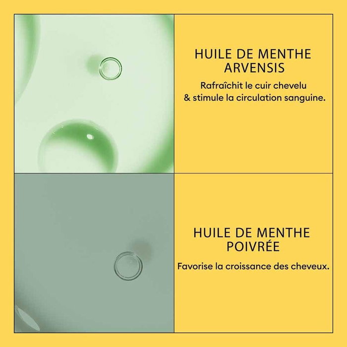 Champú + Acondicionador Nioxin