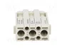 HARTING Han-Modular® Módulo de Conector Macho HDC