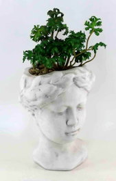 DKD Home Decor Planta Terracota PVC Mujer Blanco y Verde
