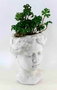 DKD Home Decor Planta Terracota PVC Mujer Blanco y Verde