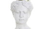 DKD Home Decor Planta Terracota PVC Mujer Blanco y Verde
