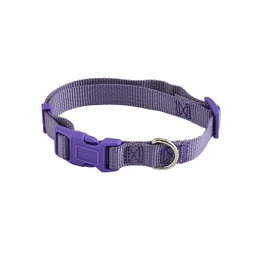 Nayeco Collar Basic Lila 20mm x 40-55cm