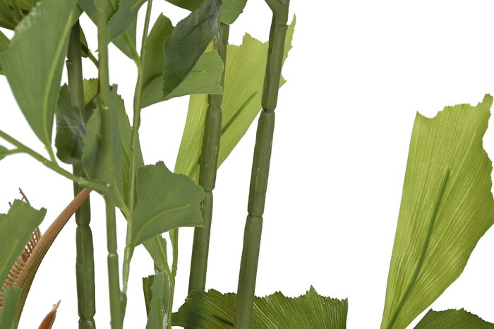 DKD Home Decor Planta Verde 90 x 70 x 250 cm (2 Unidades) DKD Home Decor Planta Verde 90 x 70 x 250 cm (2 Unidades)