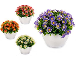 Ibergarden Planta Flores Margarita Surtidos Col Maceta 10 cm 14x13x14cm (Set de 24)