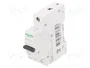 SCHNEIDER ELECTRIC Interruptor magnetotérmico ACTI9 K60N 10A 1P 6kA