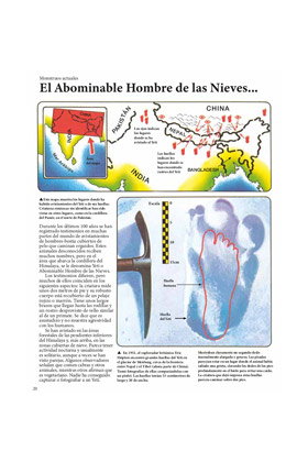Diabolo Ediciones, S.L. El mundo de lo desconocido. Todo sobre los monstruos (Relanzamiento) อาิ