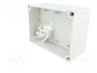 FIBOX MNX Carcasa Universal Gris ABS