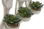 DKD Home Decor Planta Resina PE 14x12x25,5 Surtida