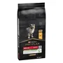 Purina Pro Plan Puppy Medium Start Pollo 12 kg