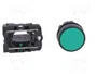SCHNEIDER ELECTRIC Interruptor de presión Harmony XB5 verde NA Ø22mm