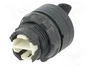SCHNEIDER ELECTRIC Interruptor de palanca Harmony XB5 22mm Negro