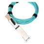 BlueOptics 10436-BO Cable de fibra óptica QSFP28 a QSFP28 de 10 m