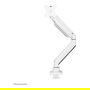 Neomounts NM-D775WHITEPLUS Brazo para Pantallas hasta 49" (124 cm) Curvas y Planas, Soporte de Escritorio con Resorte de Gas, Blanco
