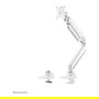 Neomounts NM-D775WHITEPLUS Brazo para Pantallas hasta 49" (124 cm) Curvas y Planas, Soporte de Escritorio con Resorte de Gas, Blanco