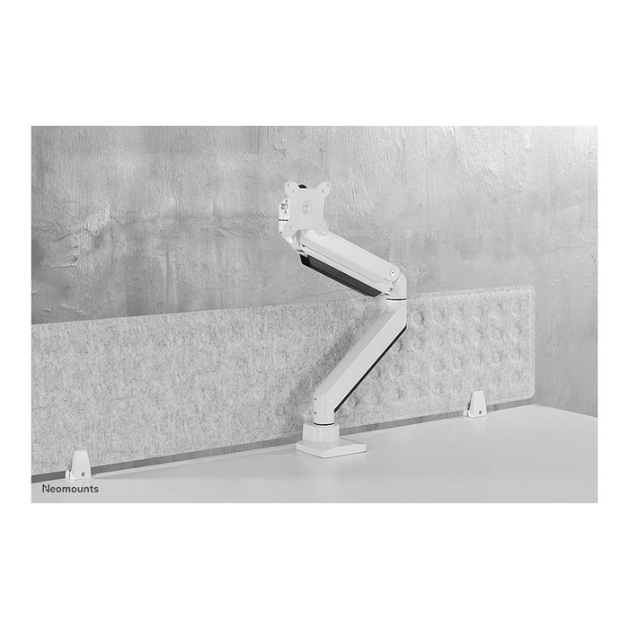 Neomounts NM-D775WHITEPLUS Brazo para Pantallas hasta 49" (124 cm) Curvas y Planas, Soporte de Escritorio con Resorte de Gas, Blanco