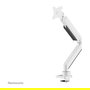 Neomounts NM-D775WHITEPLUS Brazo para Pantallas hasta 49" (124 cm) Curvas y Planas, Soporte de Escritorio con Resorte de Gas, Blanco