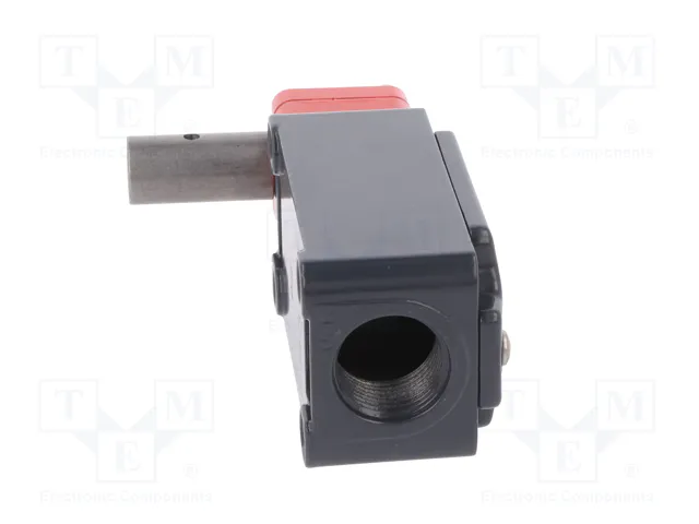 PIZZATO ELETTRICA Interruptor de seguridad de bisagra FD NC x2 + NA IP67 PIZZATO ELETTRICA Interruptor de seguridad de bisagra FD NC x2 + NA IP67