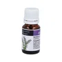 ARTESANIA Aceite Esencial de Hisopo 10 ml - Hyssopus Officinalis para Aromaterapia y Bienestar - 10 Cc.