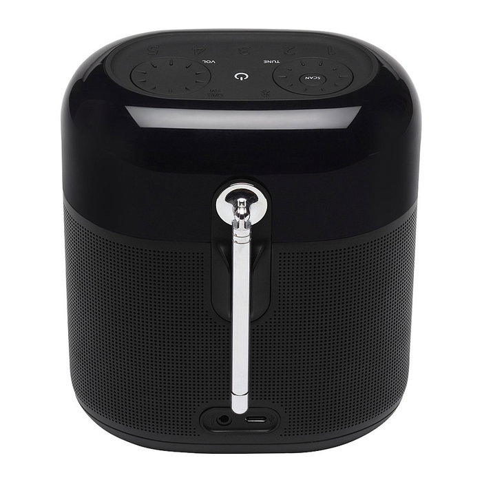 JBL Tuner XL Altavoz Portátil con Radio DAB+/FM, Bluetooth 4.2, Resistente al Agua IPX7, Batería 15h, Color Negro