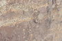 DKD Home Decor Cuadro Lienzo Pino 183x4x123 Abstracto