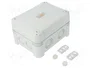 OBO BETTERMANN Caja de conexiones Serie X gris claro