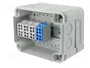 OBO BETTERMANN Caja de conexiones Serie X gris claro