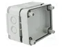 OBO BETTERMANN Caja de conexiones Serie X gris claro