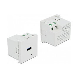 DeLOCK Easy 45 Módulo de Puerto de Carga USB Tipo-A 1 Puerto, 5V/3A, Terminal a Presión de Rosca, Blanco, 100-240V