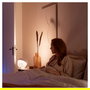 Philips Hue White & Color Ambiance Iris Lámpara de Mesa Inteligente Negro, Bluetooth/Zigbee, Luz Blanca y de Color 570lm, Compatible con Alexa, Google Assistant y Apple HomeKit
