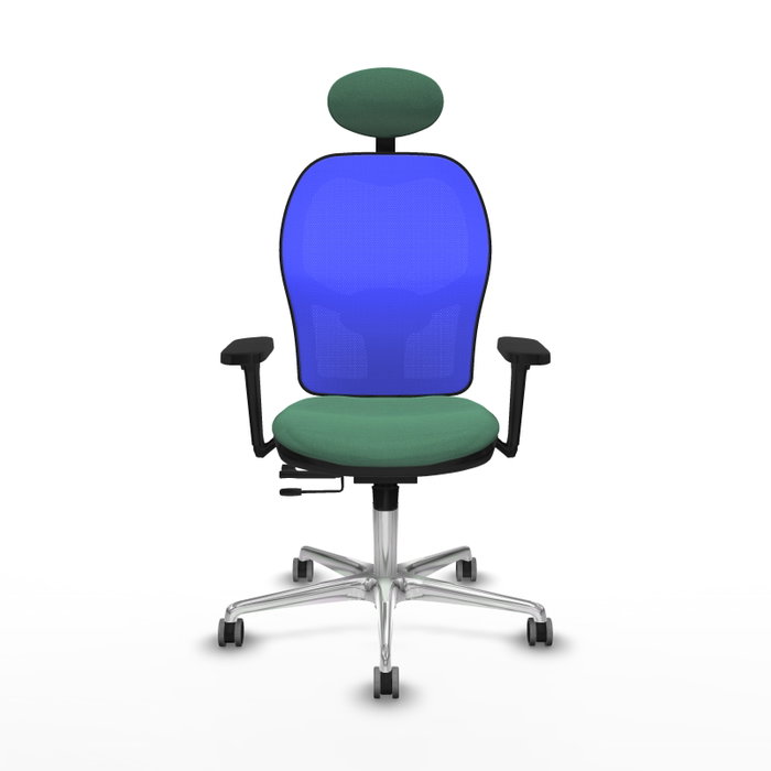 PIQUERAS Y CRESPO Silla de oficina Jorquera con mecanismo Sincro/Traslack, Verde esmeralda y Azul PIQUERAS Y CRESPO Silla de oficina Jorquera con mecanismo Sincro/Traslack, Verde esmeralda y Azul